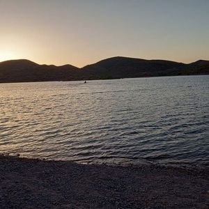 Meet your Posher, Frank